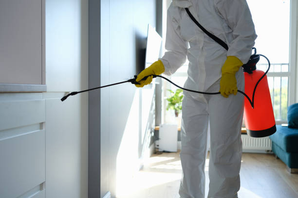 Mold Removal and Inspection in Detroit Beach, MI