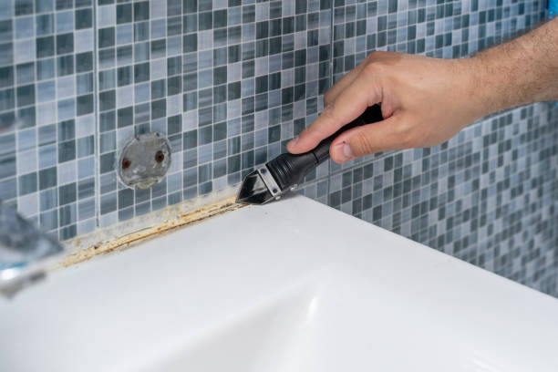 Best Mold Damage Repair  in Detroit Beach, MI