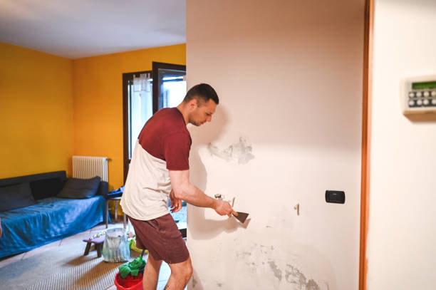 Best Certified Mold Removal  in Detroit Beach, MI